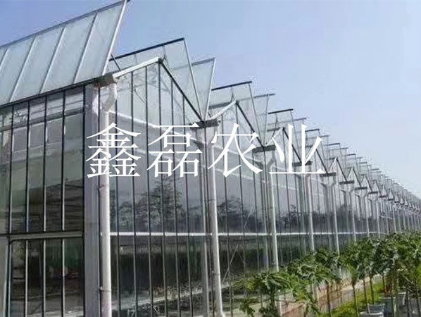 溫室頂開(kāi)窗